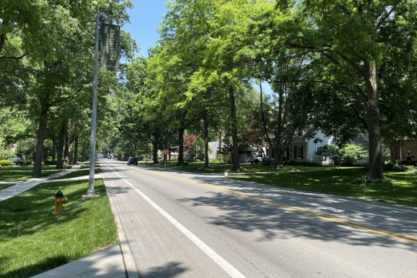 Lee Boulevard Improvements_Roadway1